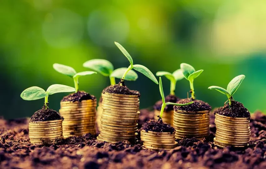 Sustainable Bio Economy