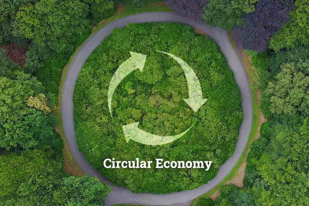 Bio Circular Economy