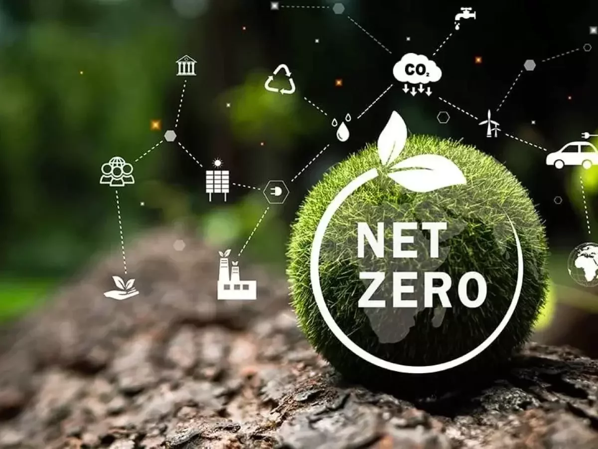 Biomass contribution to Net Zero